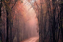 [天下足球]登贝莱双响 大巴黎7分领跑.