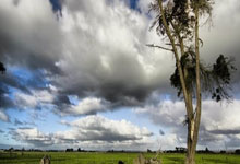 鲸鱼体育:亚马尔:还没和拉菲尼亚谈过金球奖的事;会时刻牢记脚踏实地.