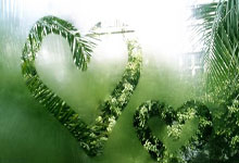 灰熊51分灭勇士 詹姆斯再超越贾巴尔创历史.