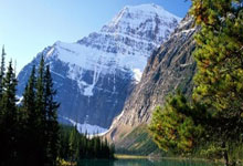 鲸鱼体育：[德甲]基米希抢断助攻 凯恩一脚世界波.