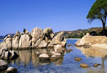 鲸鱼体育:一盗播网站工作人员因盗播英超被判11个月,并罚款9万美元.